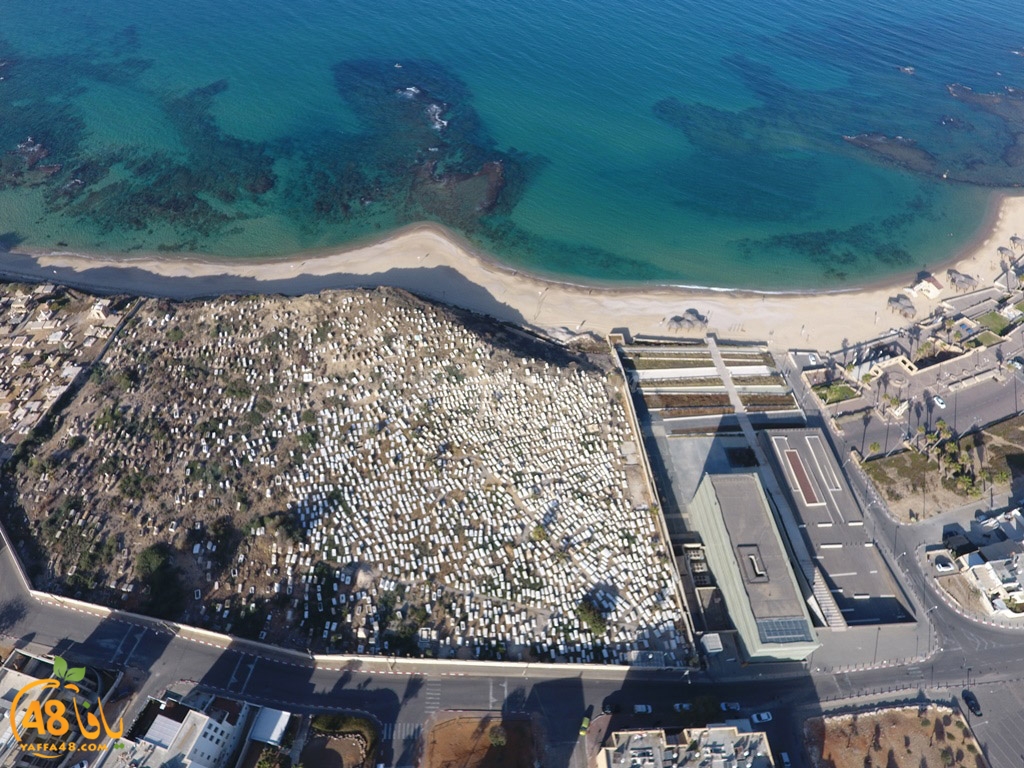 yaffa beach (12).jpg.jpg